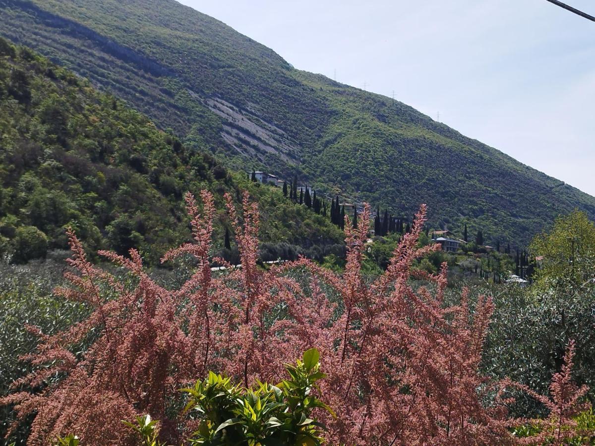 Casa Di Nin Apartamento Torbole Sul Garda Exterior foto