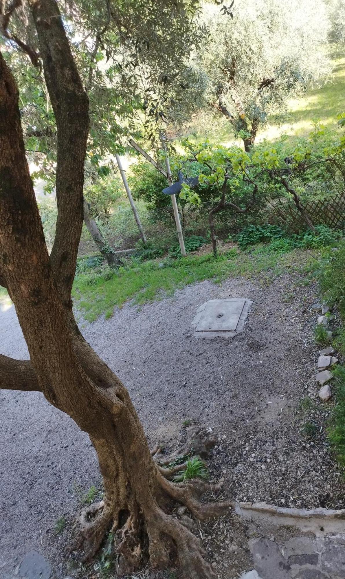 Casa Di Nin Apartamento Torbole Sul Garda Exterior foto